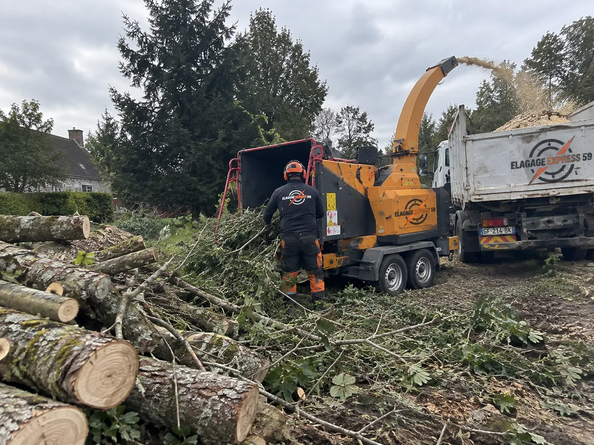 broyage et évacuation des déchets verts Lille — Broyage et évacuation des déchets verts